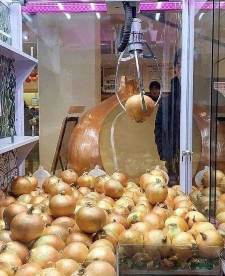 Gewoon een verzameling hilarische foto's #1562