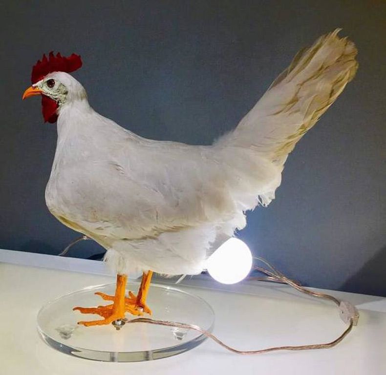 Gewoon een verzameling hilarische foto's #1562