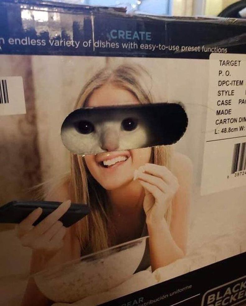 Gewoon een verzameling hilarische foto's #1562