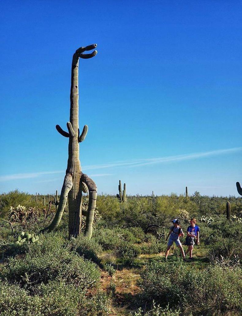 Gewoon een verzameling hilarische foto's #1562