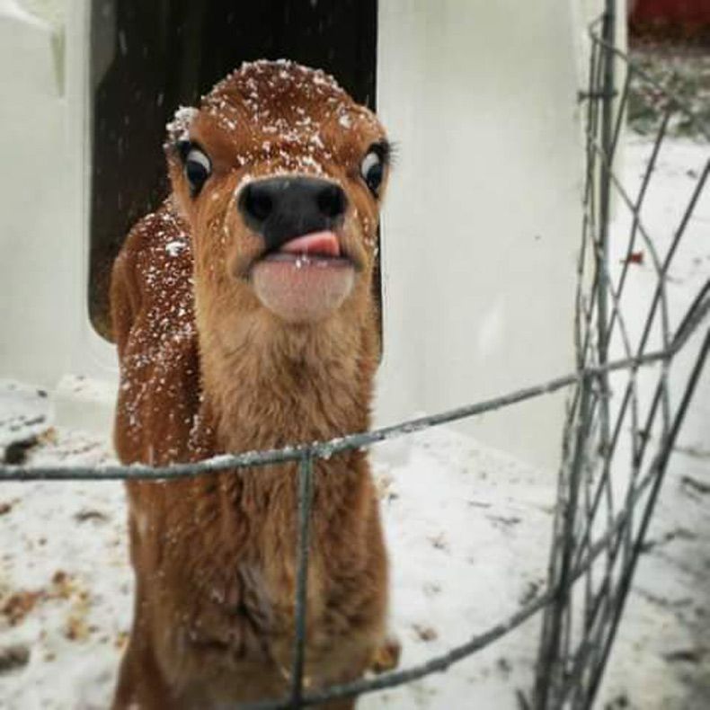Gewoon een verzameling hilarische foto's #1562