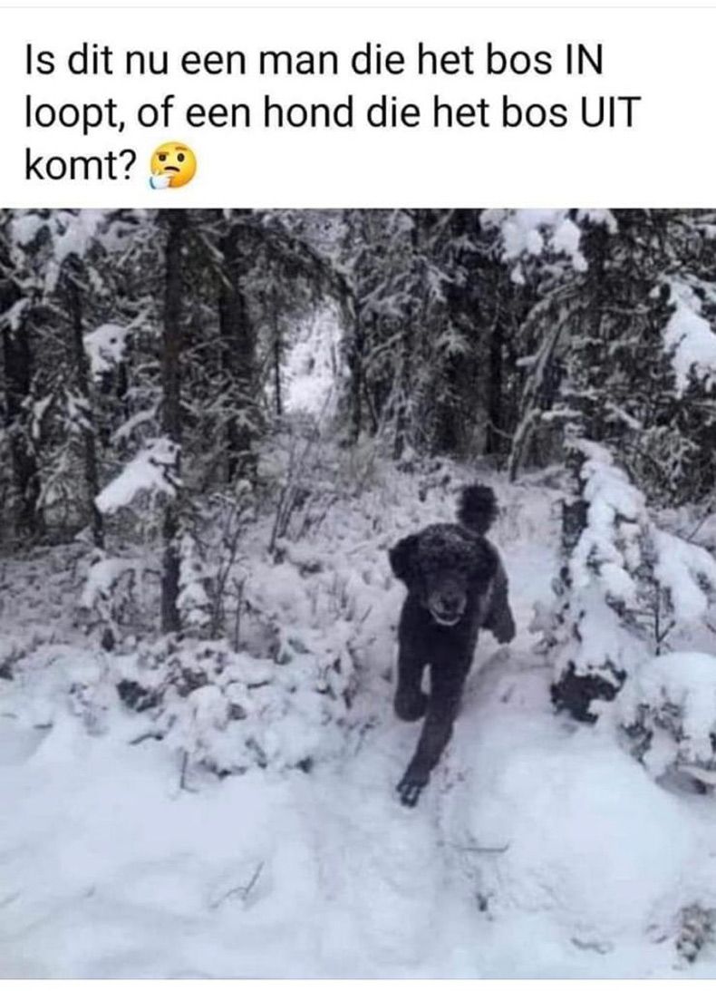 Gewoon een verzameling hilarische foto's #1562