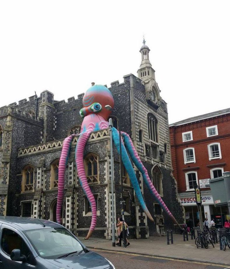 Gewoon een verzameling hilarische foto's #1564