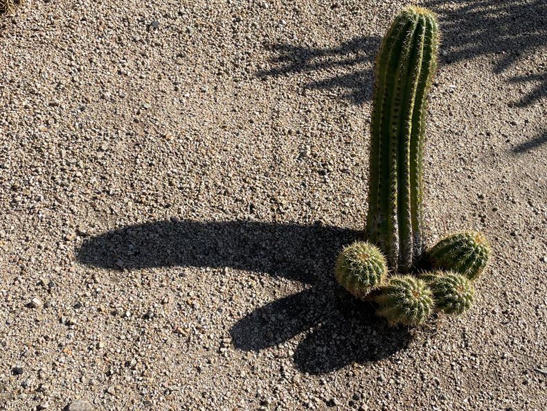 Gewoon een verzameling hilarische foto's #1564