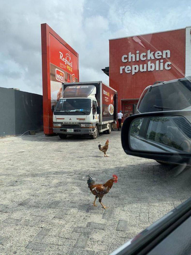 Gewoon een verzameling hilarische foto's #1565