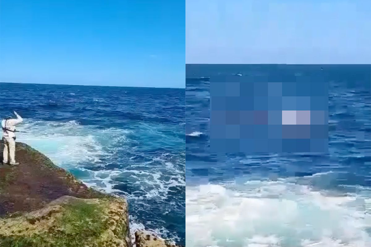 Gruwelijk moment op video vastgelegd dat zwemmer opgegeten wordt door haai bij Sydney
