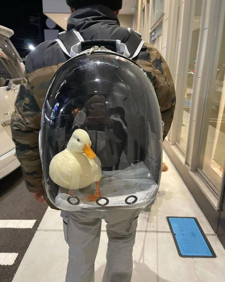 Gewoon een verzameling hilarische foto's #1566