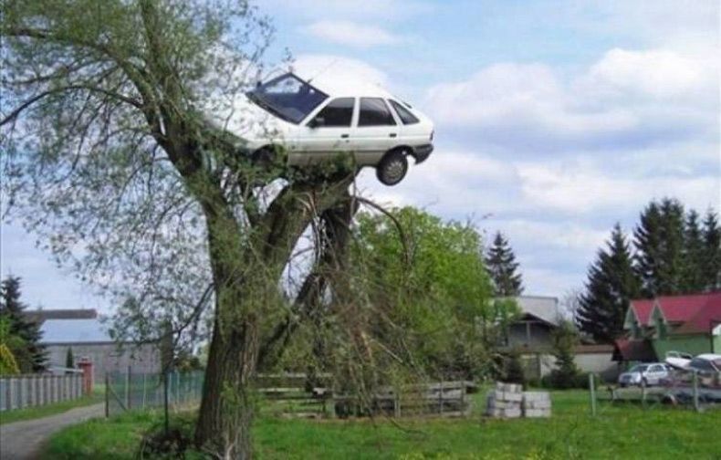 Gewoon een verzameling hilarische foto's #1566