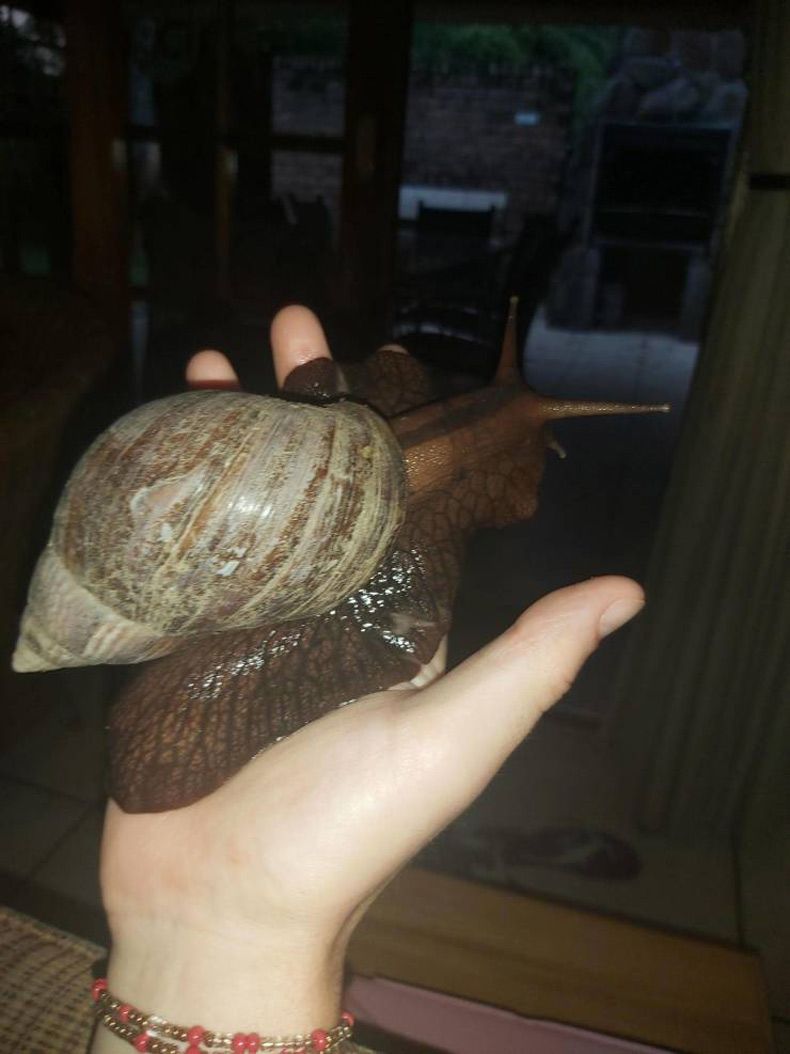 Gewoon een verzameling hilarische foto's #1567