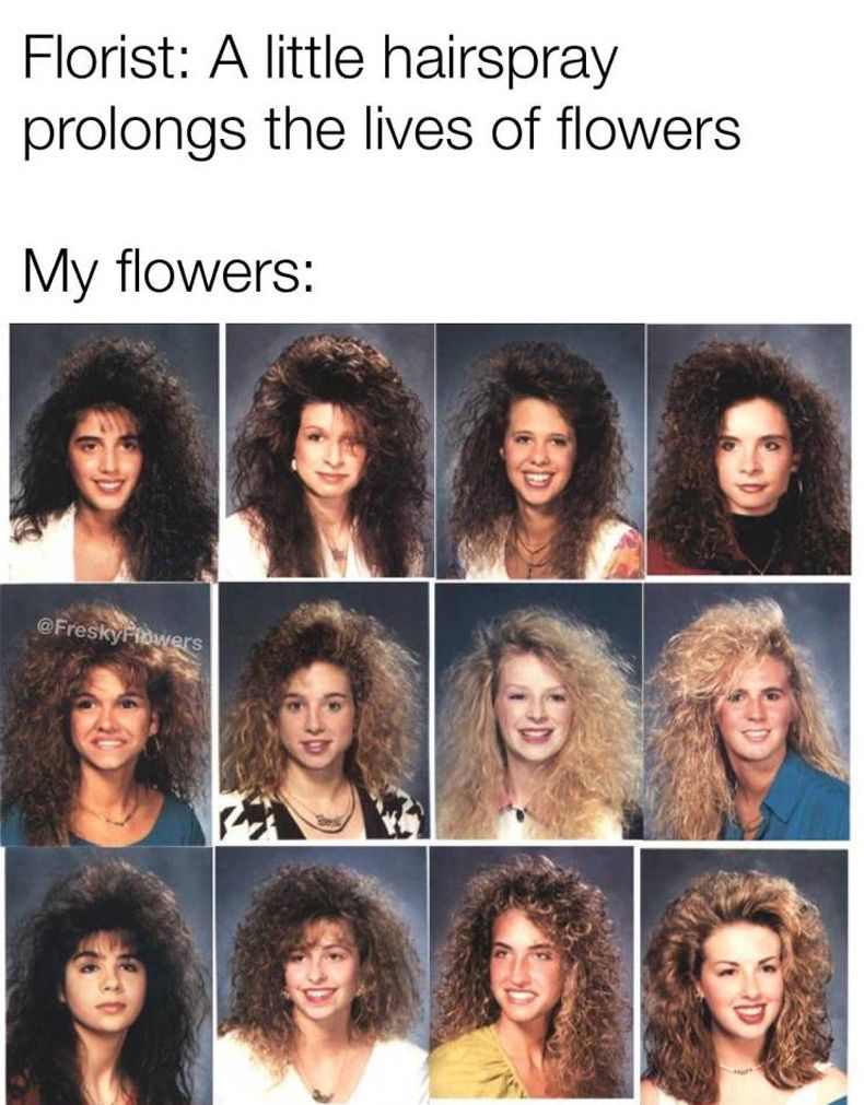 Gewoon een verzameling hilarische foto's #1567
