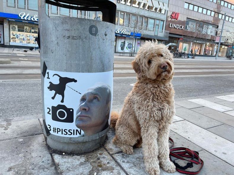 Gewoon een verzameling hilarische foto's #1567