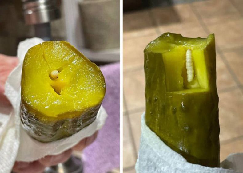 Gewoon een verzameling hilarische foto's #1568