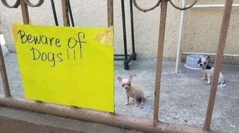Gewoon een verzameling hilarische foto's #1568