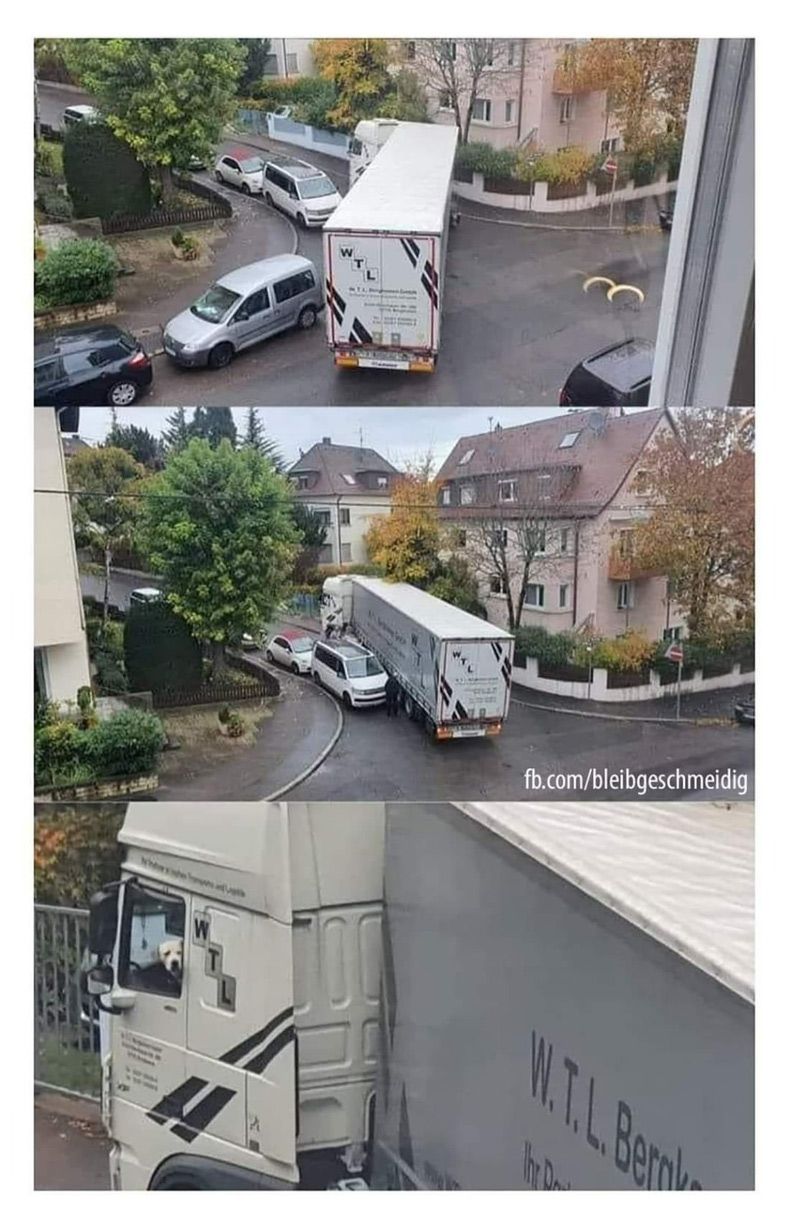 Gewoon een verzameling hilarische foto's #1568