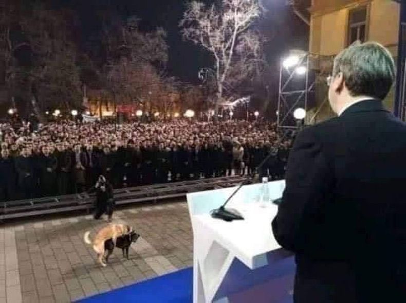 Gewoon een verzameling hilarische foto's #1568