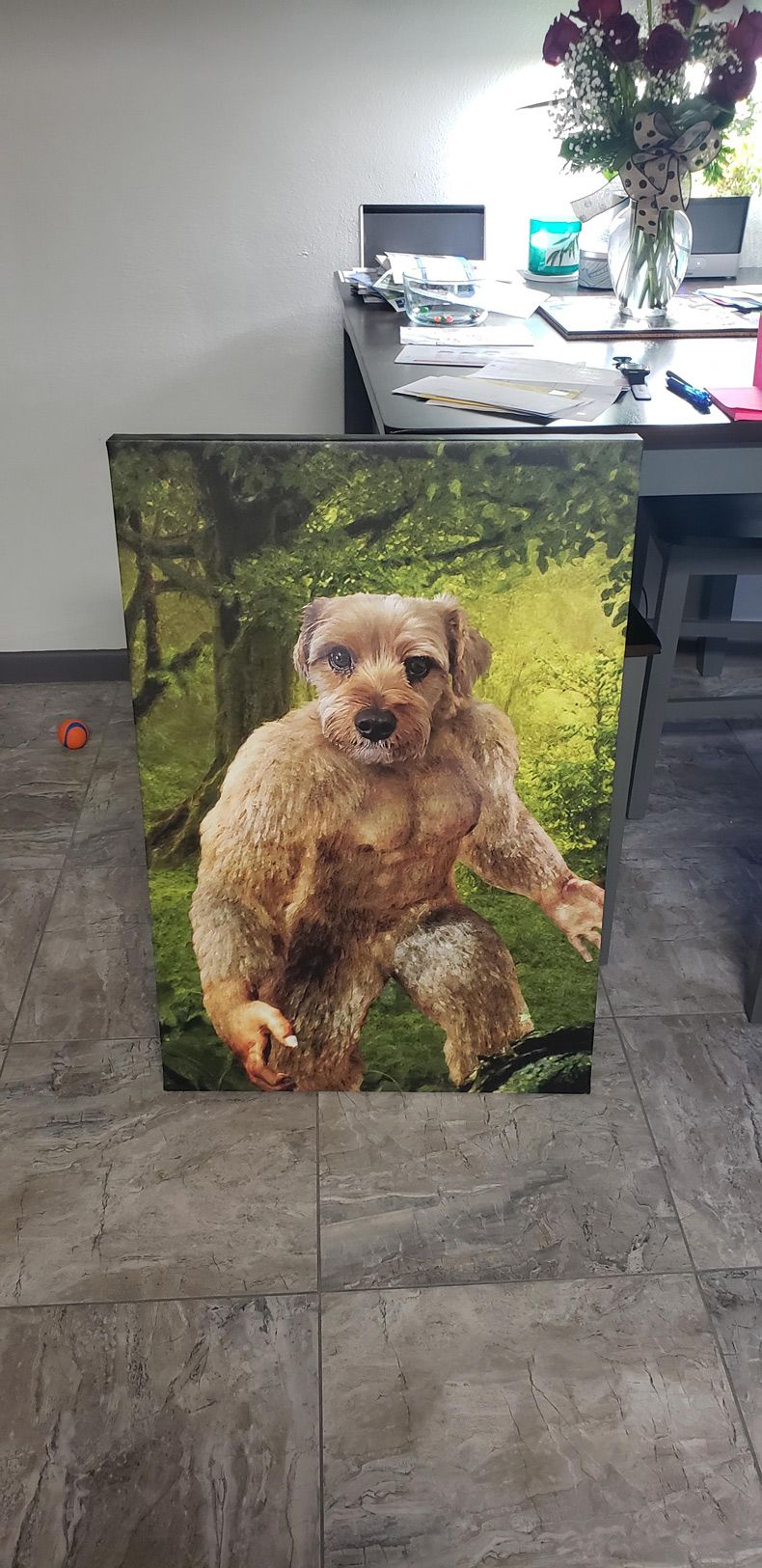 Gewoon een verzameling hilarische foto's #1568