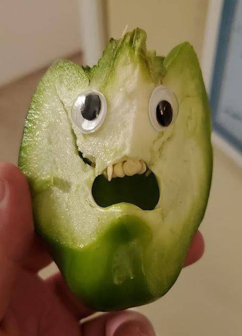 Gewoon een verzameling hilarische foto's #1569