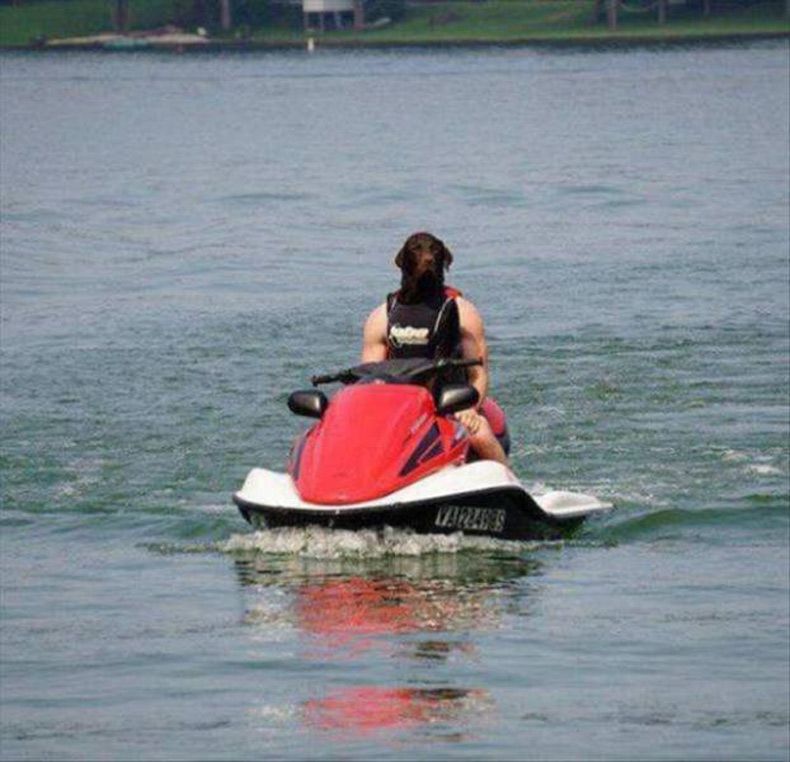Gewoon een verzameling hilarische foto's #1569