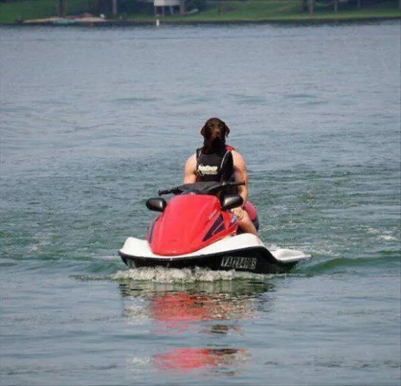 Gewoon een verzameling hilarische foto's #1569
