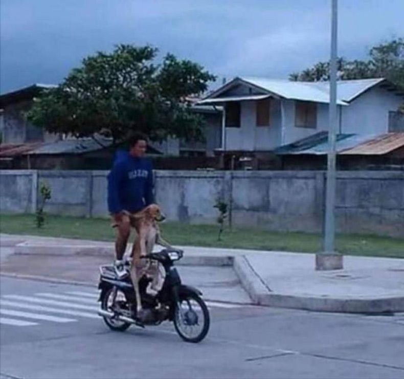 Gewoon een verzameling hilarische foto's #1569