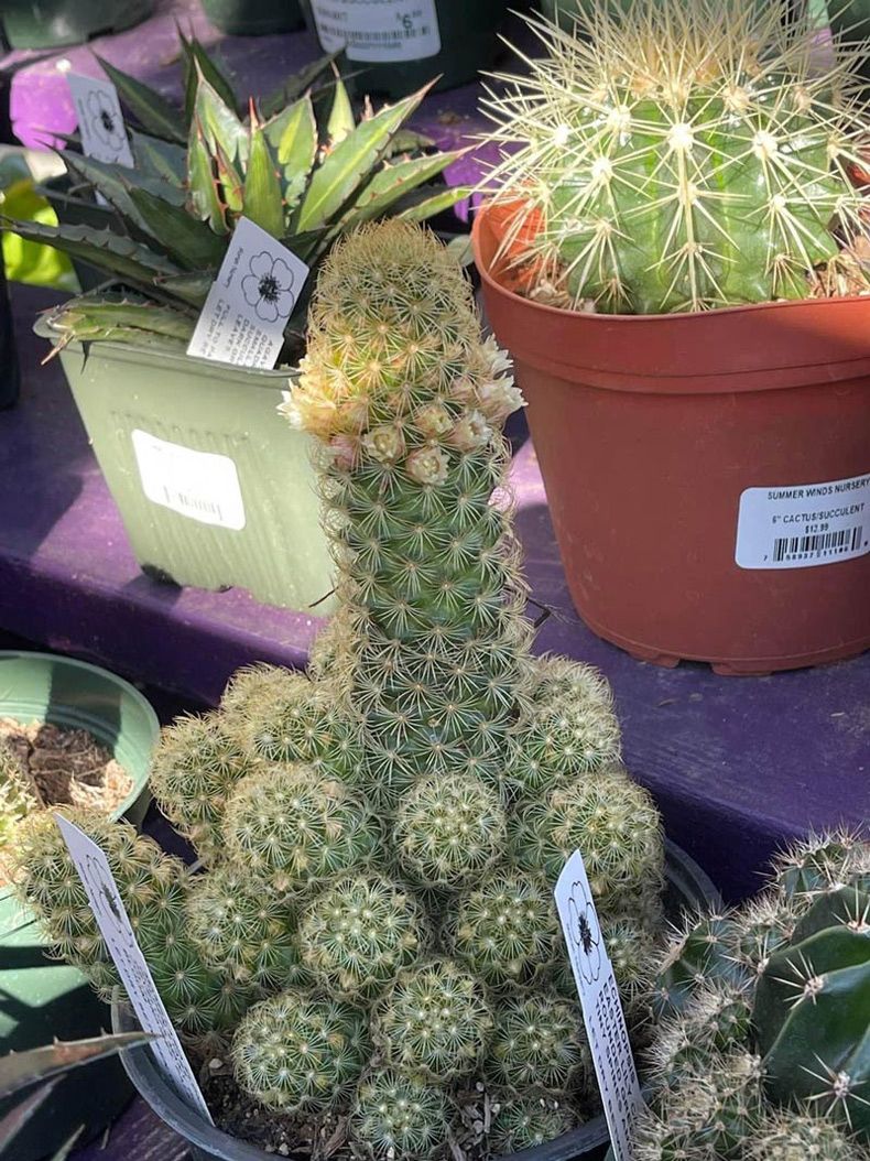 Gewoon een verzameling hilarische foto's #1569