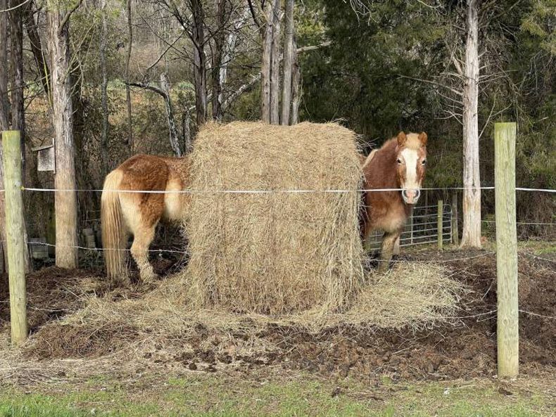 Gewoon een verzameling hilarische foto's #1570