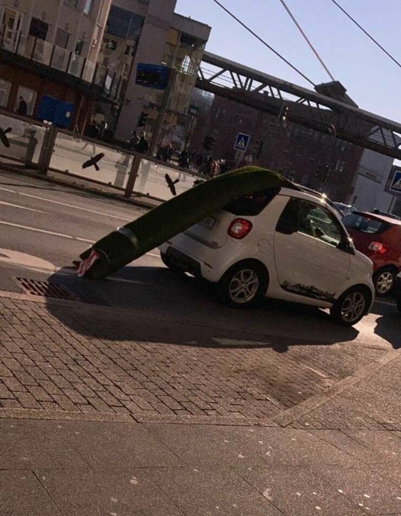 Gewoon een verzameling hilarische foto's #1571