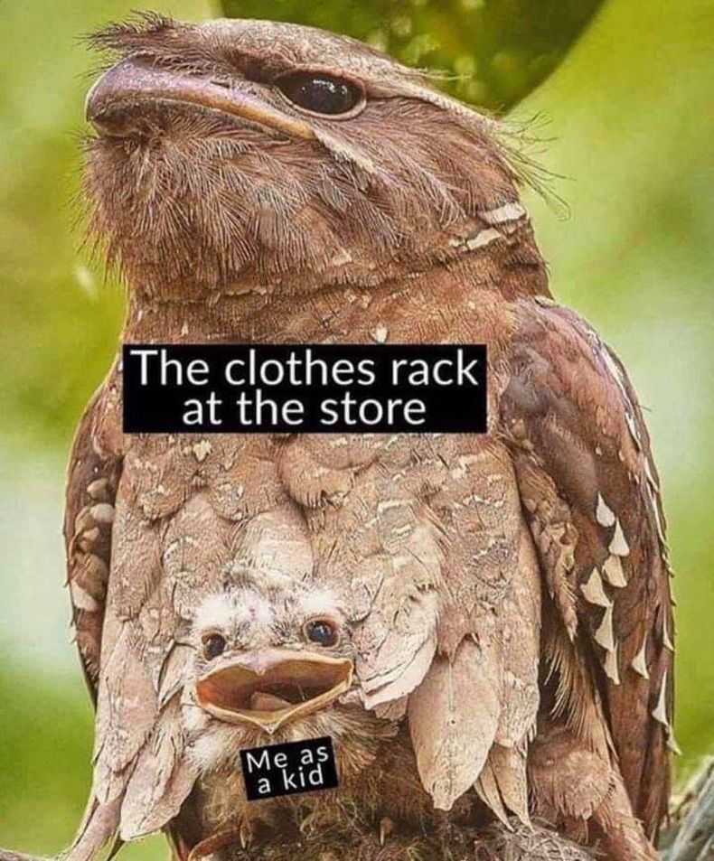 Gewoon een verzameling hilarische foto's #1571