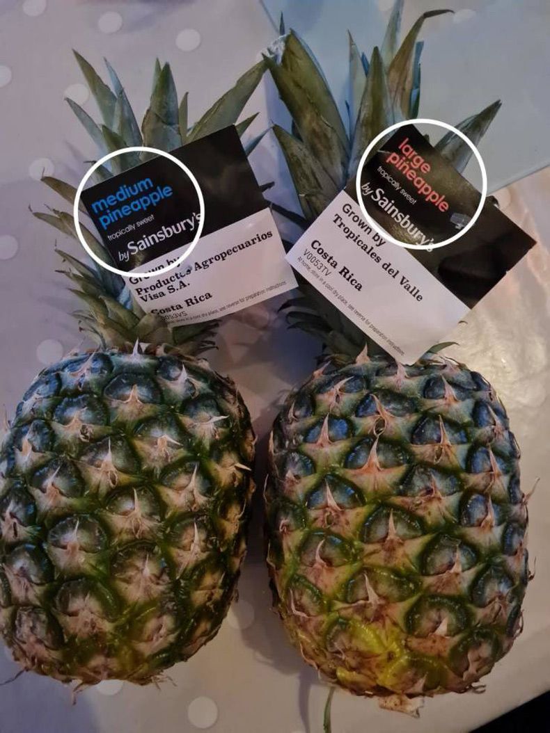 Gewoon een verzameling hilarische foto's #1571