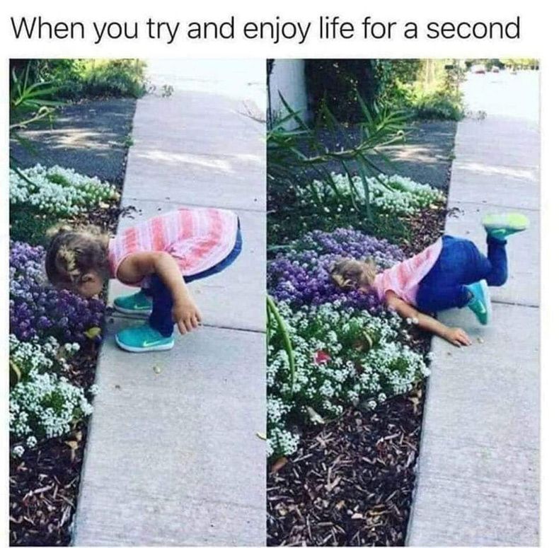 Gewoon een verzameling hilarische foto's #1571