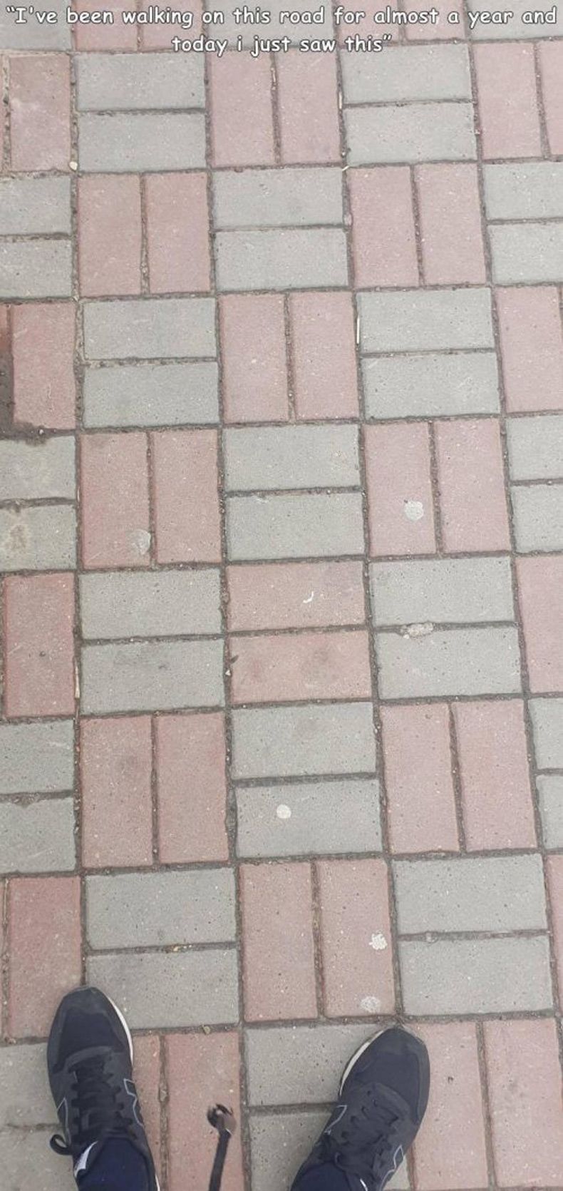 Gewoon een verzameling hilarische foto's #1571