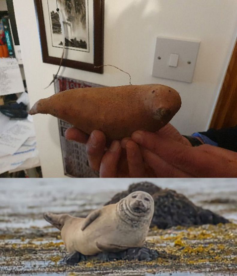 Gewoon een verzameling hilarische foto's #1571