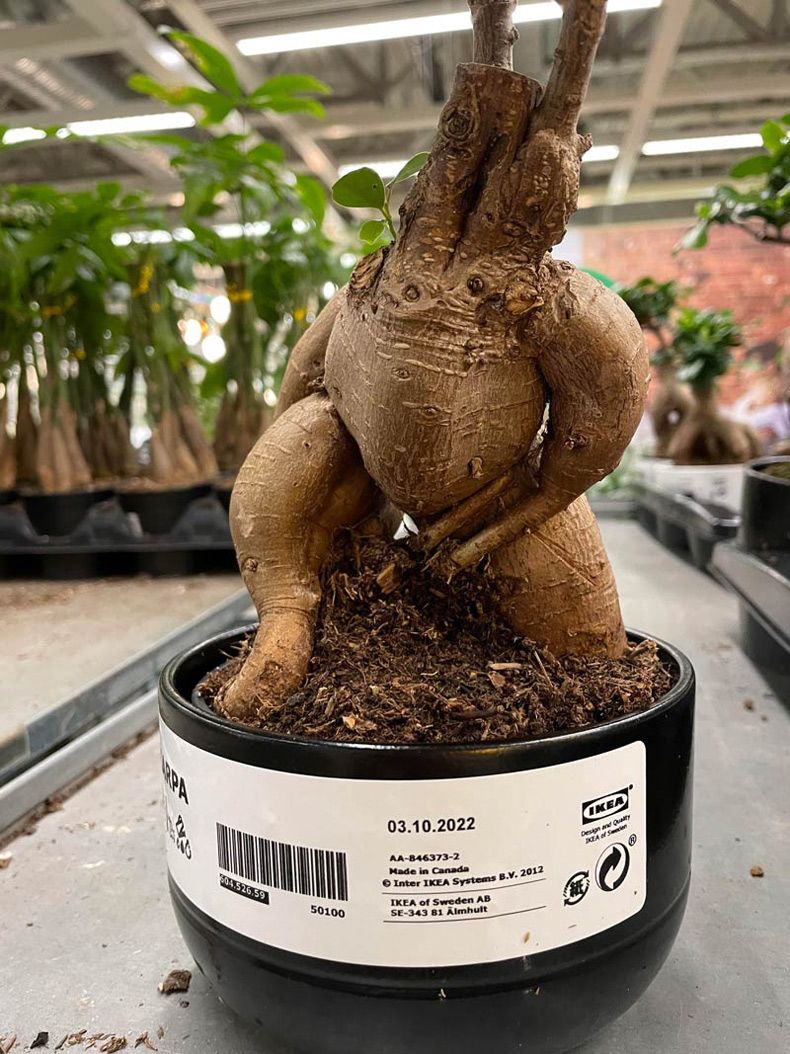 Gewoon een verzameling hilarische foto's #1571