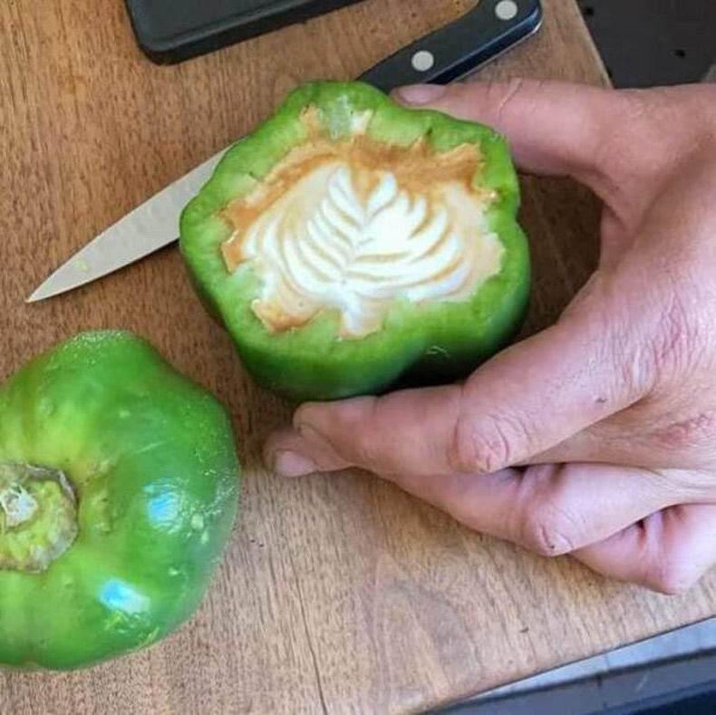 Gewoon een verzameling hilarische foto's #1572