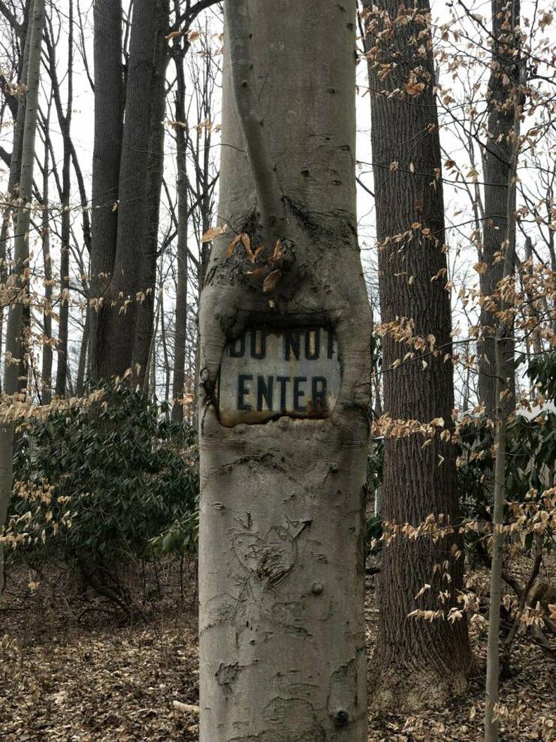 Gewoon een verzameling hilarische foto's #1572