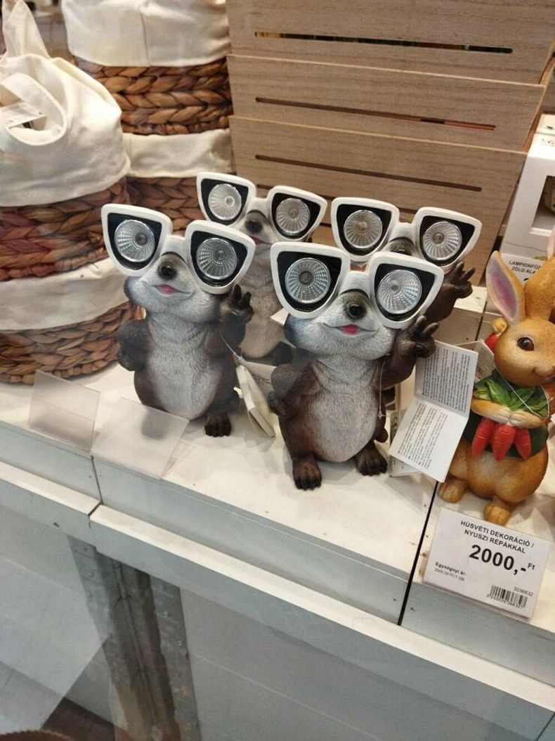 Gewoon een verzameling hilarische foto's #1572