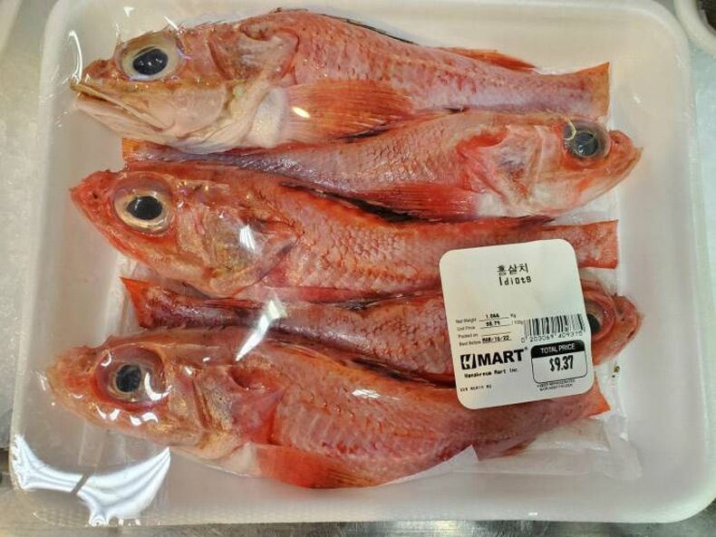 Gewoon een verzameling hilarische foto's #1572