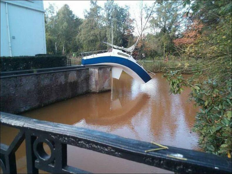 Gewoon een verzameling hilarische foto's #1572