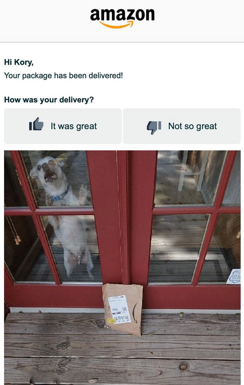 Gewoon een verzameling hilarische foto's #1572