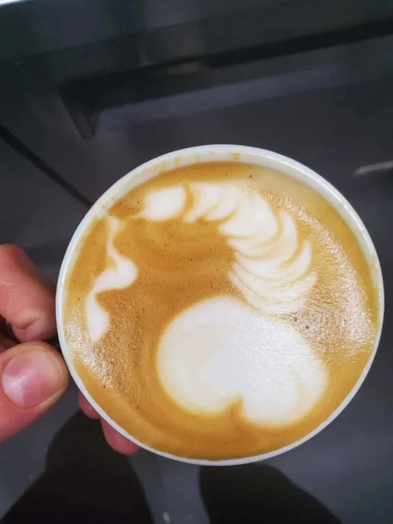 Gewoon een verzameling hilarische foto's #1572