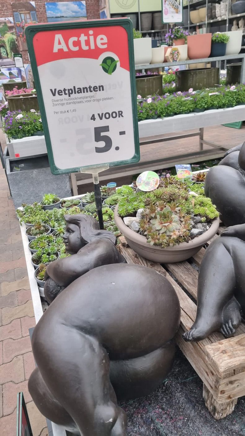 Gewoon een verzameling hilarische foto's #1572