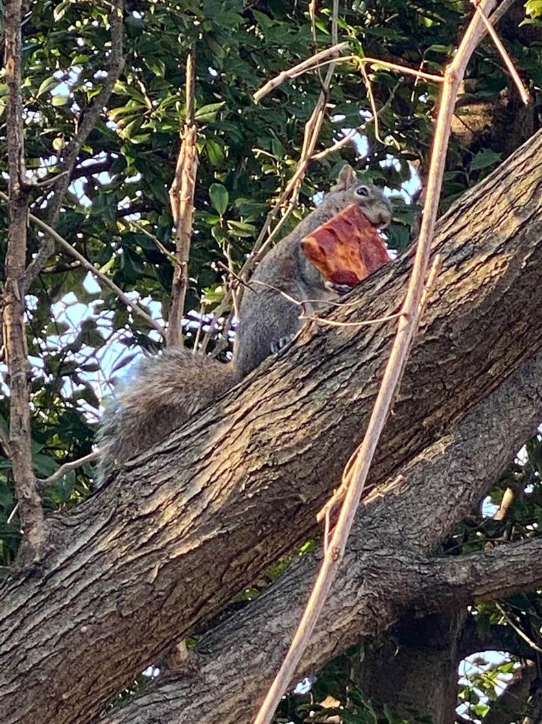 Gewoon een verzameling hilarische foto's #1572