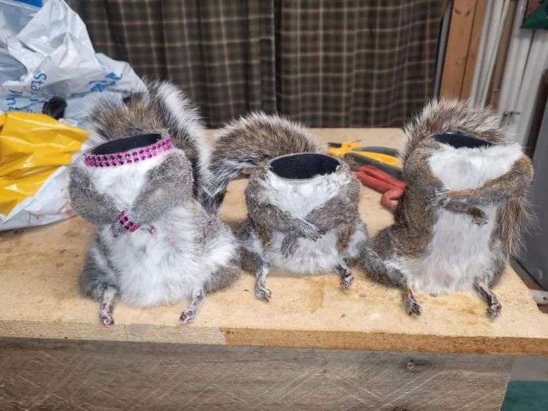 Gewoon een verzameling hilarische foto's #1572