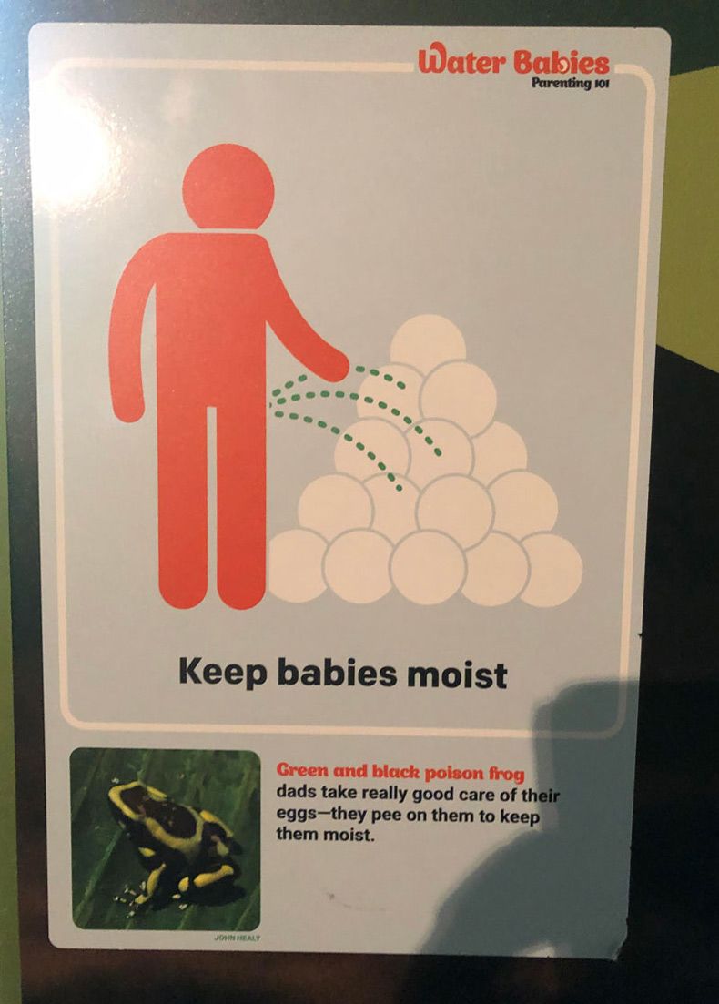 Gewoon een verzameling hilarische foto's #1572