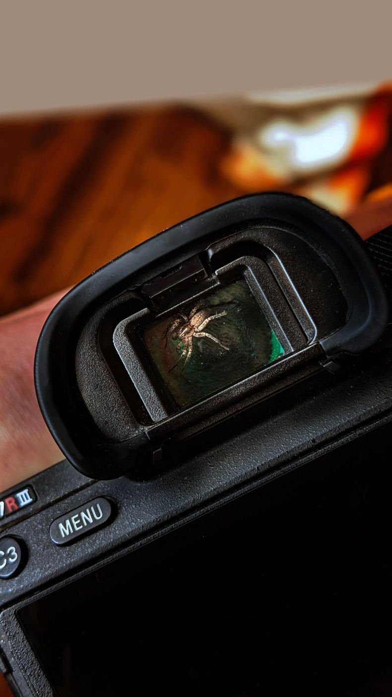 Gewoon een verzameling hilarische foto's #1573