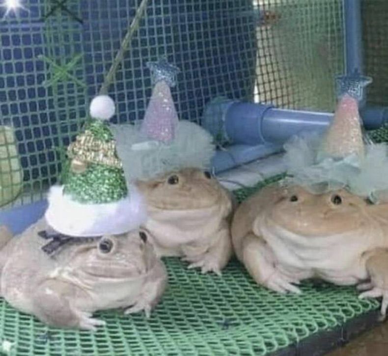 Gewoon een verzameling hilarische foto's #1573