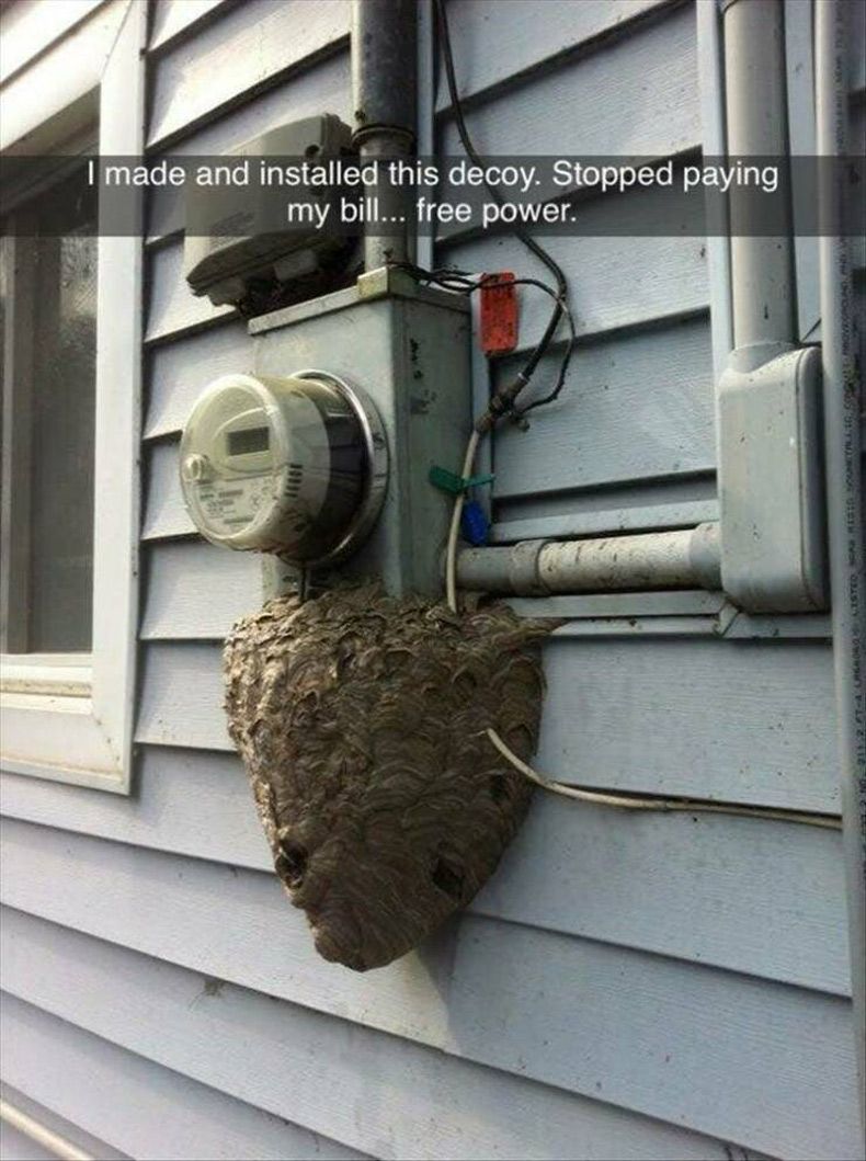 Gewoon een verzameling hilarische foto's #1573