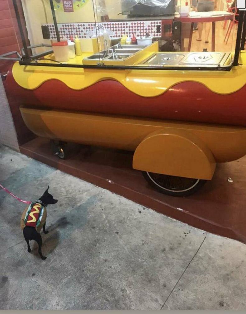 Gewoon een verzameling hilarische foto's #1573