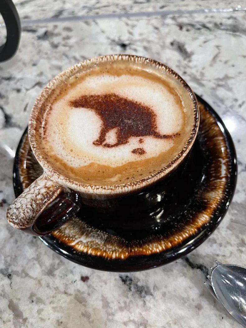 Gewoon een verzameling hilarische foto's #1573