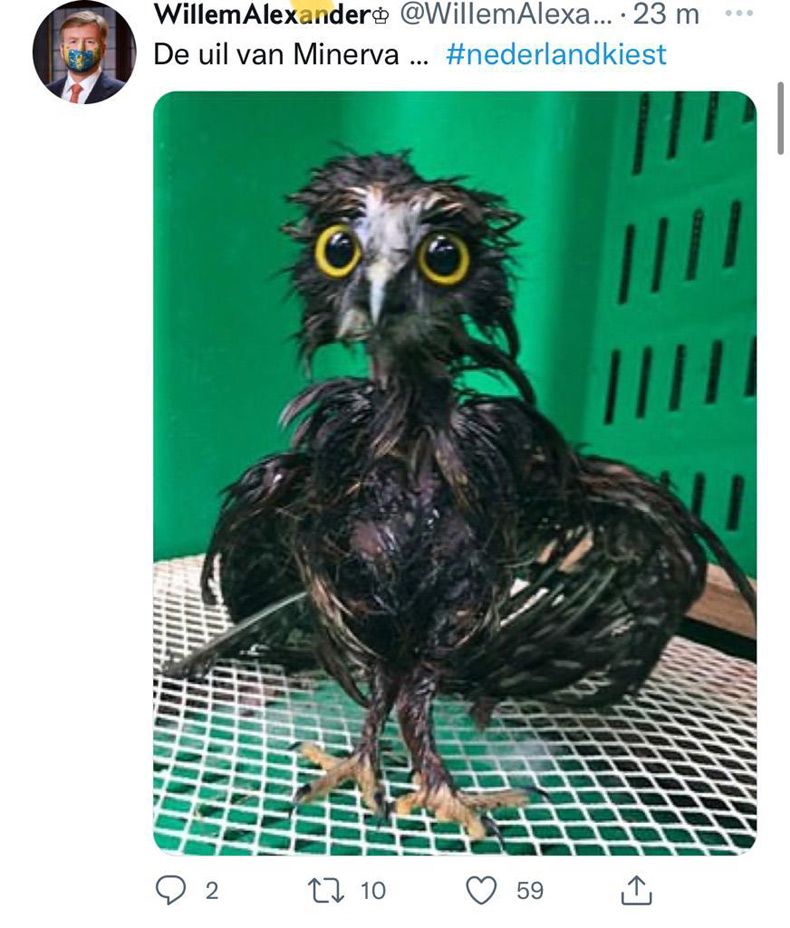 Gewoon een verzameling hilarische foto's #1573